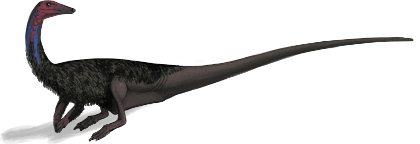 Coelophysis