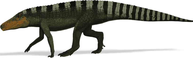 cropped-batrachatomus1-e1493905478450.png