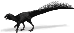 HeterodontosaurusLight