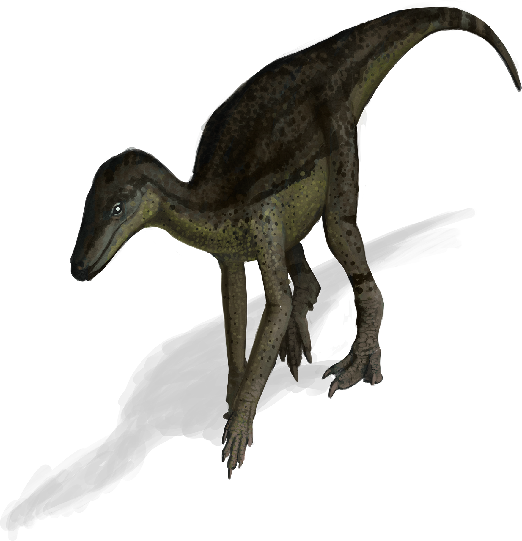 silesaurus1.png