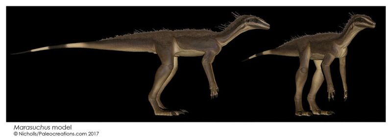 X9MaraModel©Nicholls2017