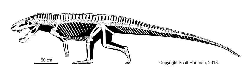 Postosuchus skeletal 2018