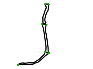 Fig 4 Marasuchus with points