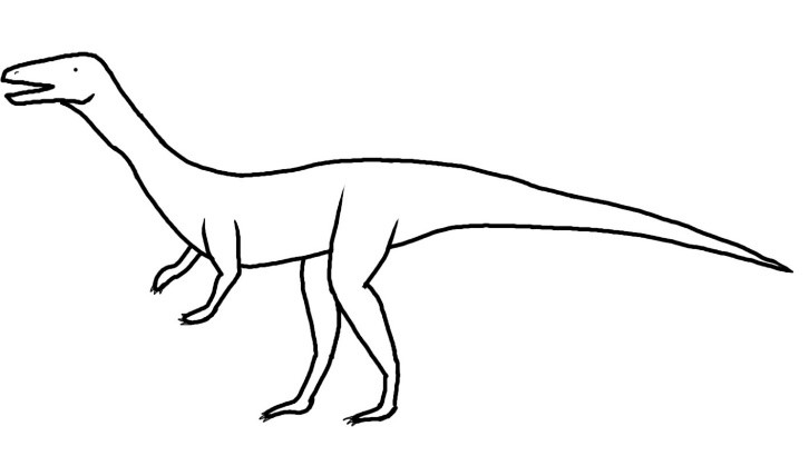 Long legged archosaur